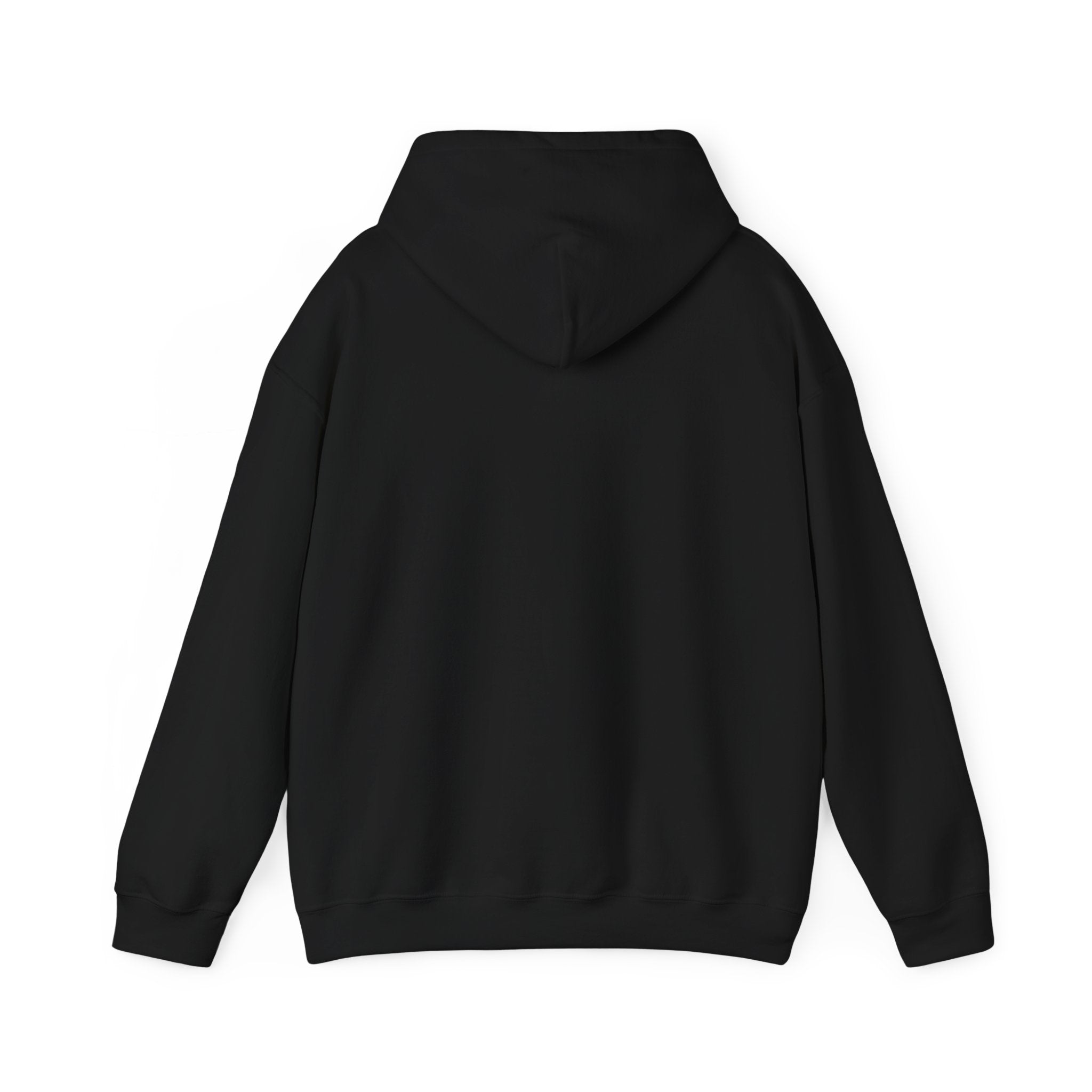 I Protect The Family Hoodie — Protective Family Statement Pullover