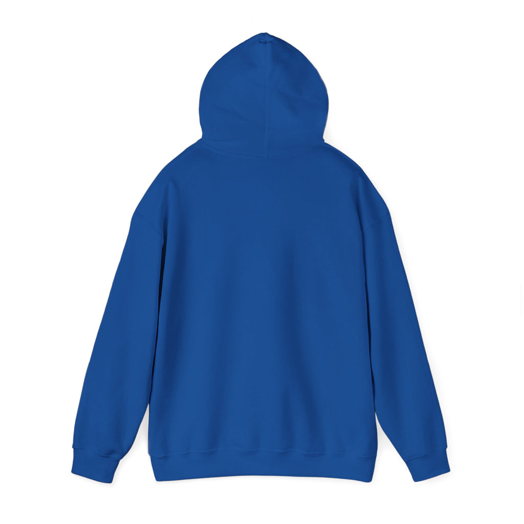 I Protect The Family Hoodie — Protective Family Statement Pullover