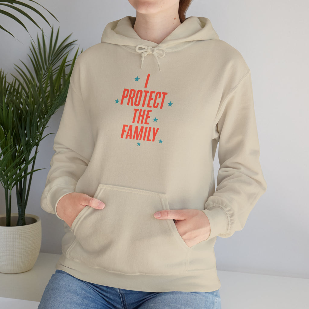 I Protect The Family Hoodie — Protective Family Statement Pullover