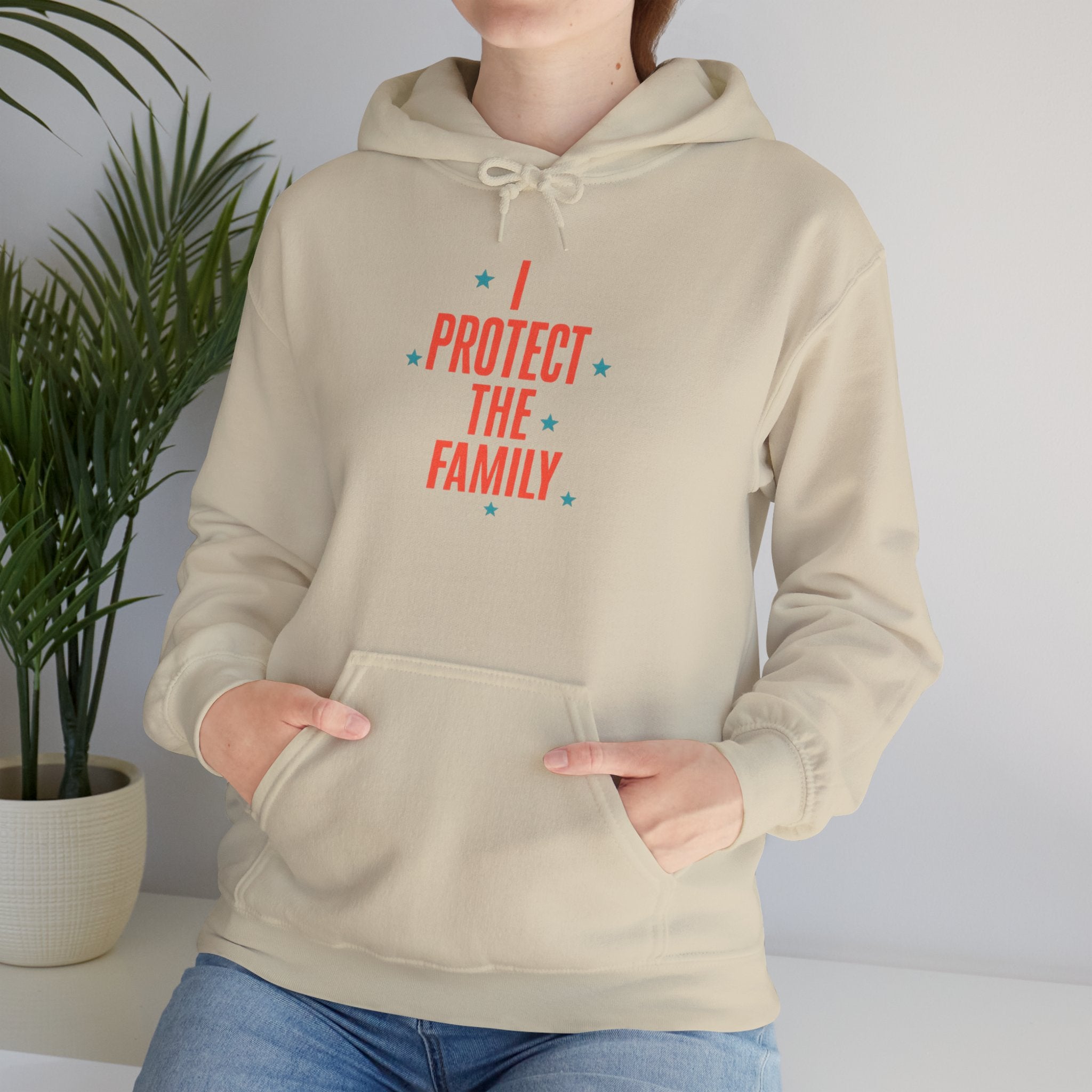 I Protect The Family Hoodie — Protective Family Statement Pullover