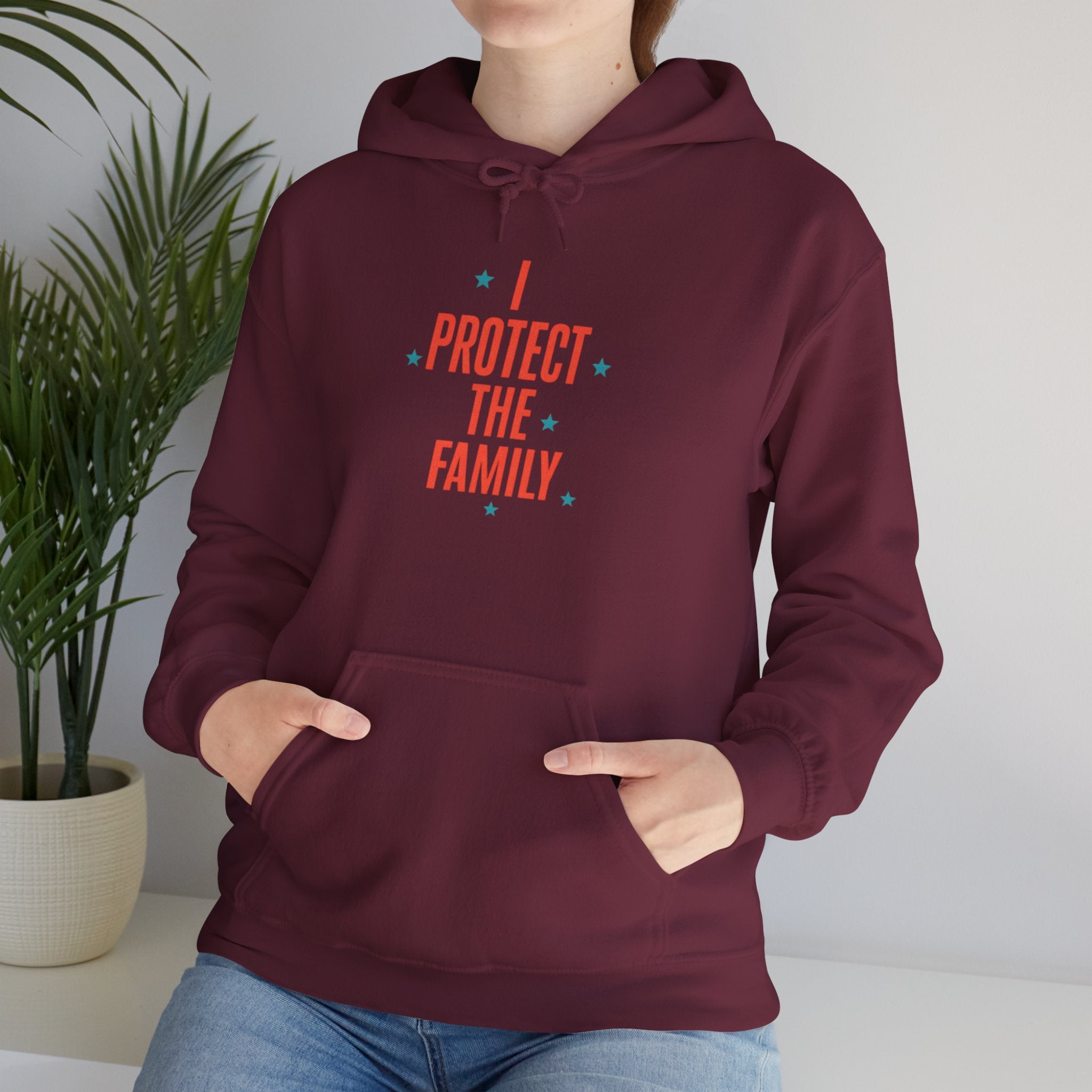 I Protect The Family Hoodie — Protective Family Statement Pullover