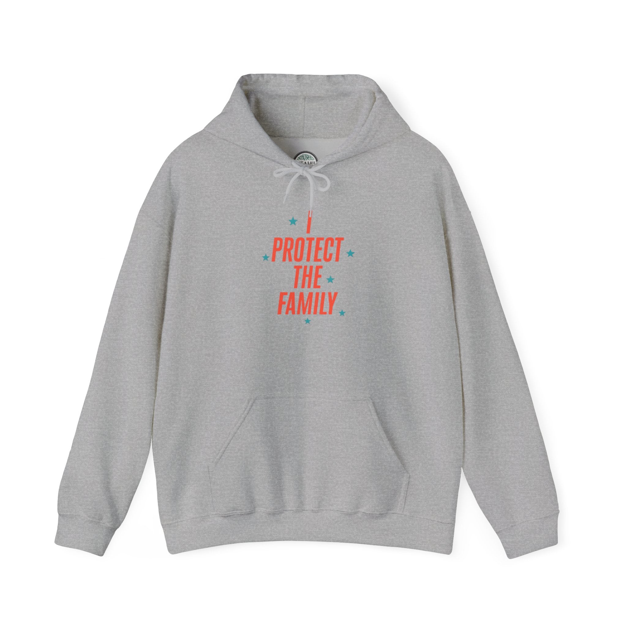 I Protect The Family Hoodie — Protective Family Statement Pullover