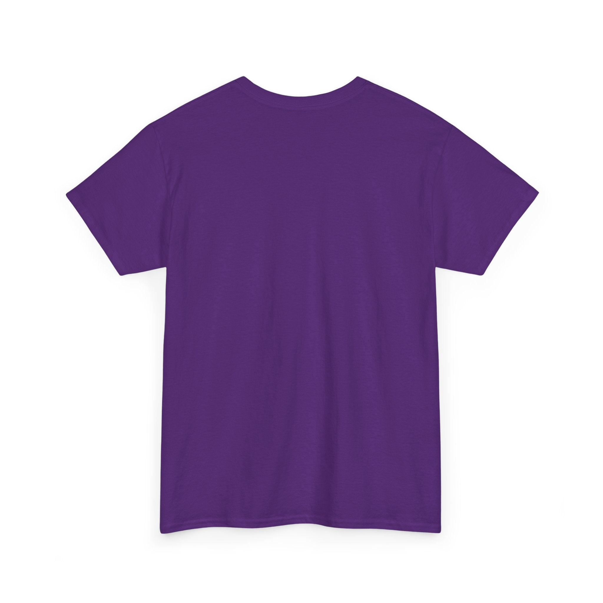 Valid Feelings T-Shirt — “Your Feelings Are Valid. Your Behavior Is Questionable.” Mental Health Graphic Tee