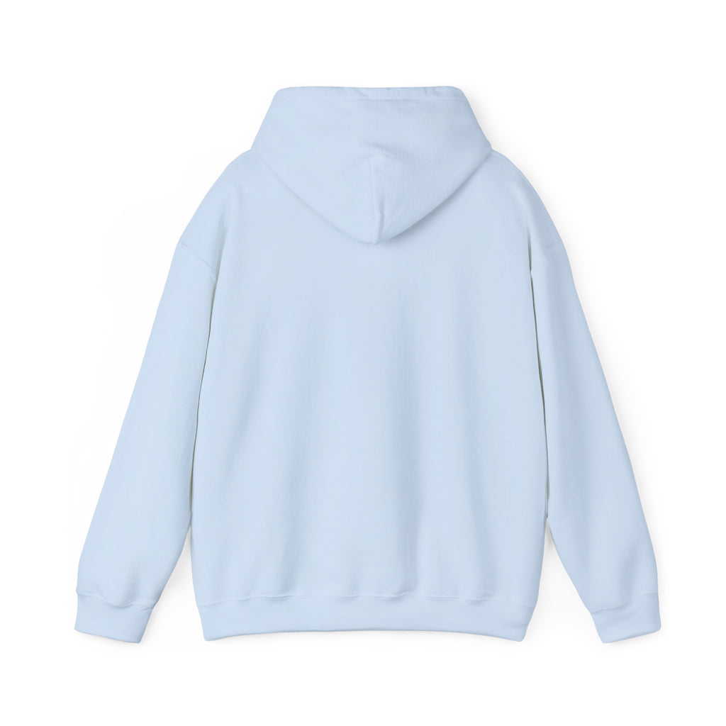 I Protect The Family Hoodie — Protective Family Statement Pullover
