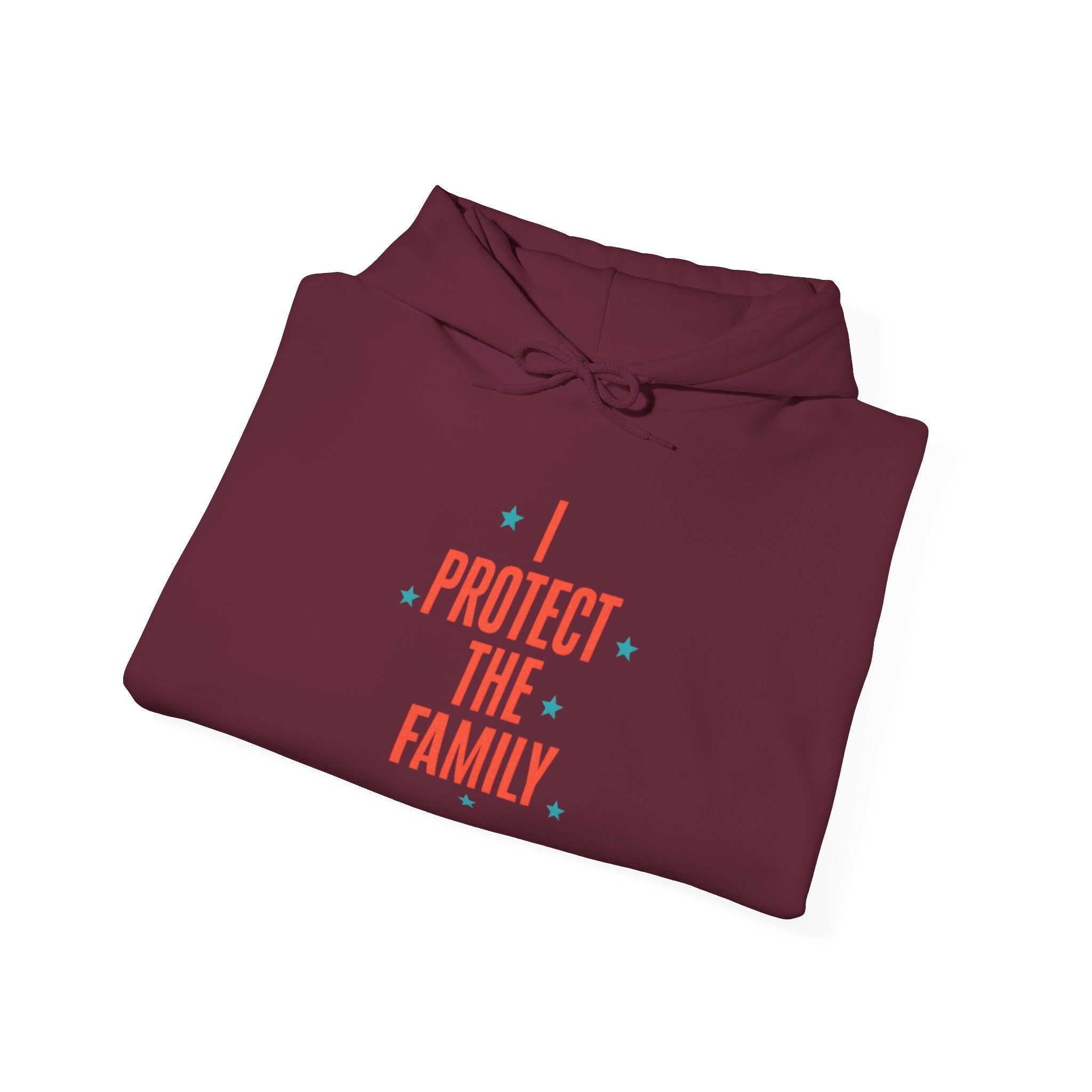 I Protect The Family Hoodie — Protective Family Statement Pullover