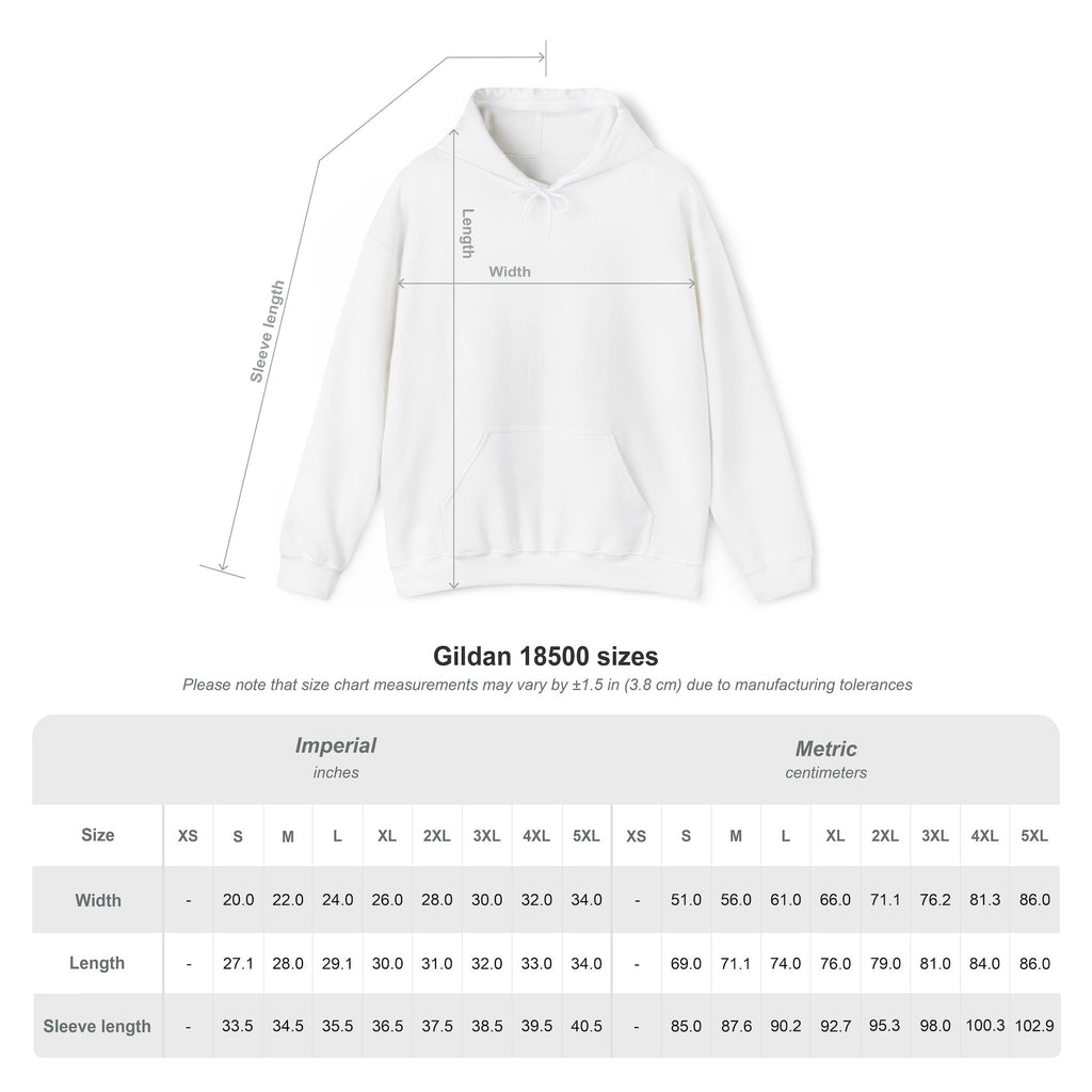 Champagne Problems Hoodie — Funny Champagne Glass Graphic Pullover