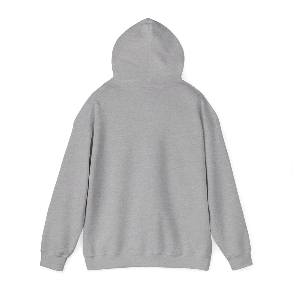 Earth Love Hoodie — “Just Trying to Find My Place in this World” Eco Graphic Hoodie