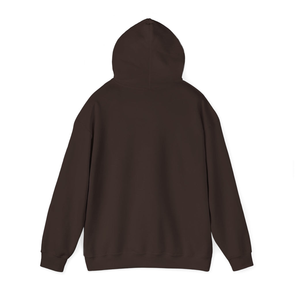 Cat Mom Hoodie — “In My Cat Mom Era” Graphic Pullover