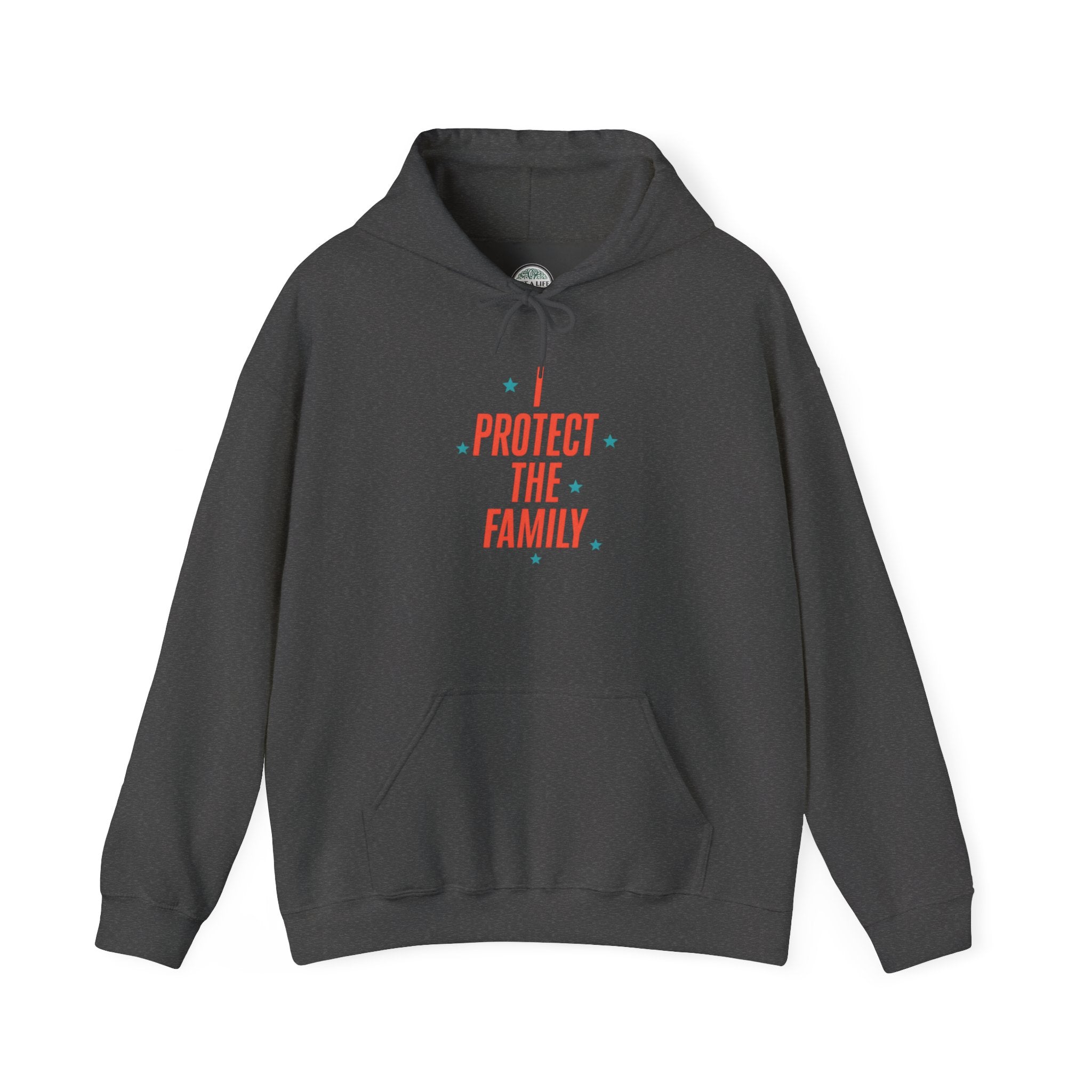 I Protect The Family Hoodie — Protective Family Statement Pullover