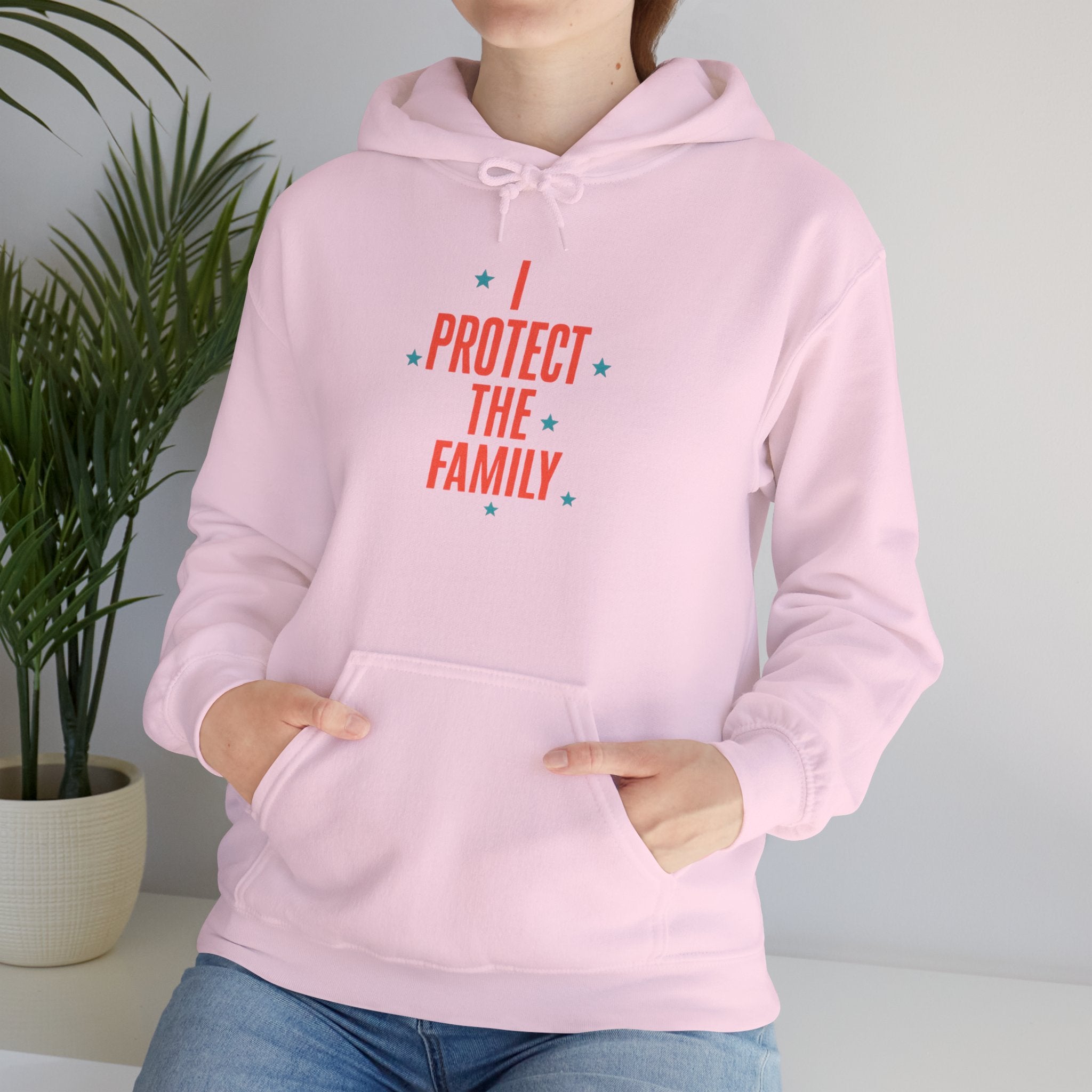 I Protect The Family Hoodie — Protective Family Statement Pullover