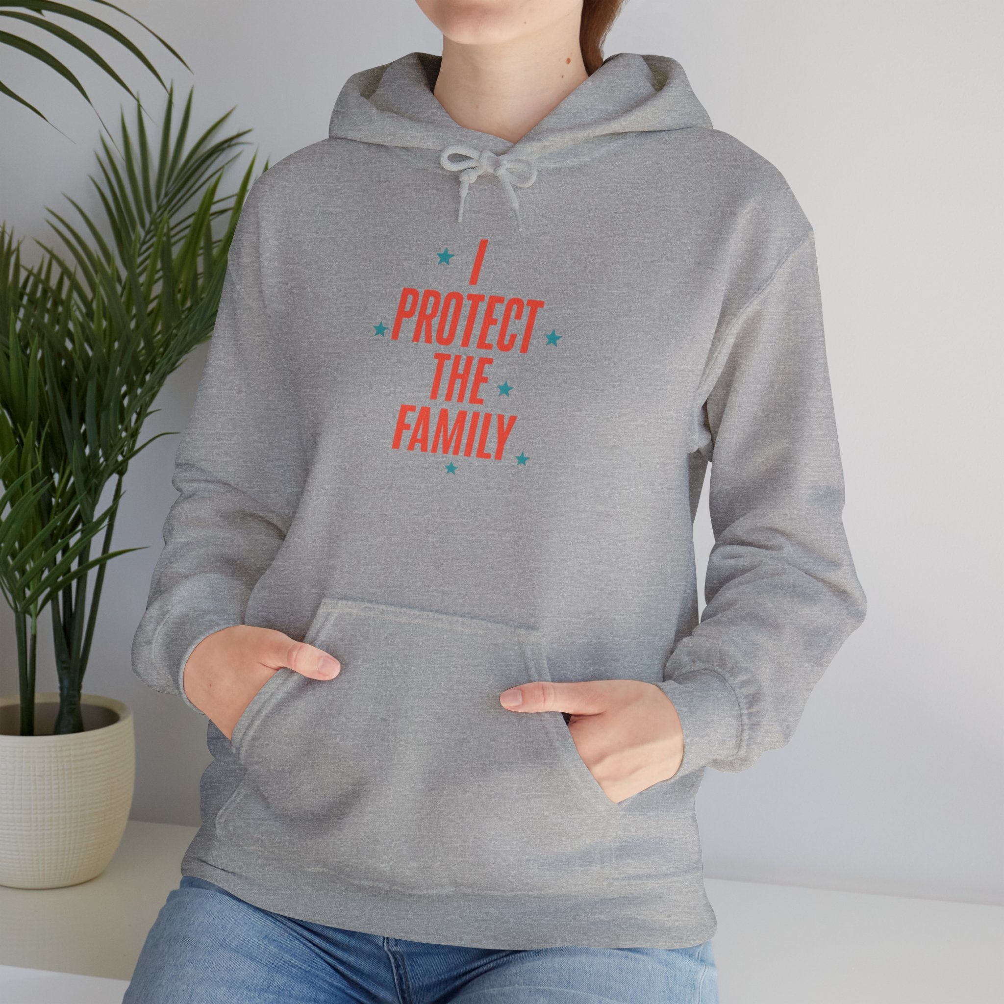 I Protect The Family Hoodie — Protective Family Statement Pullover
