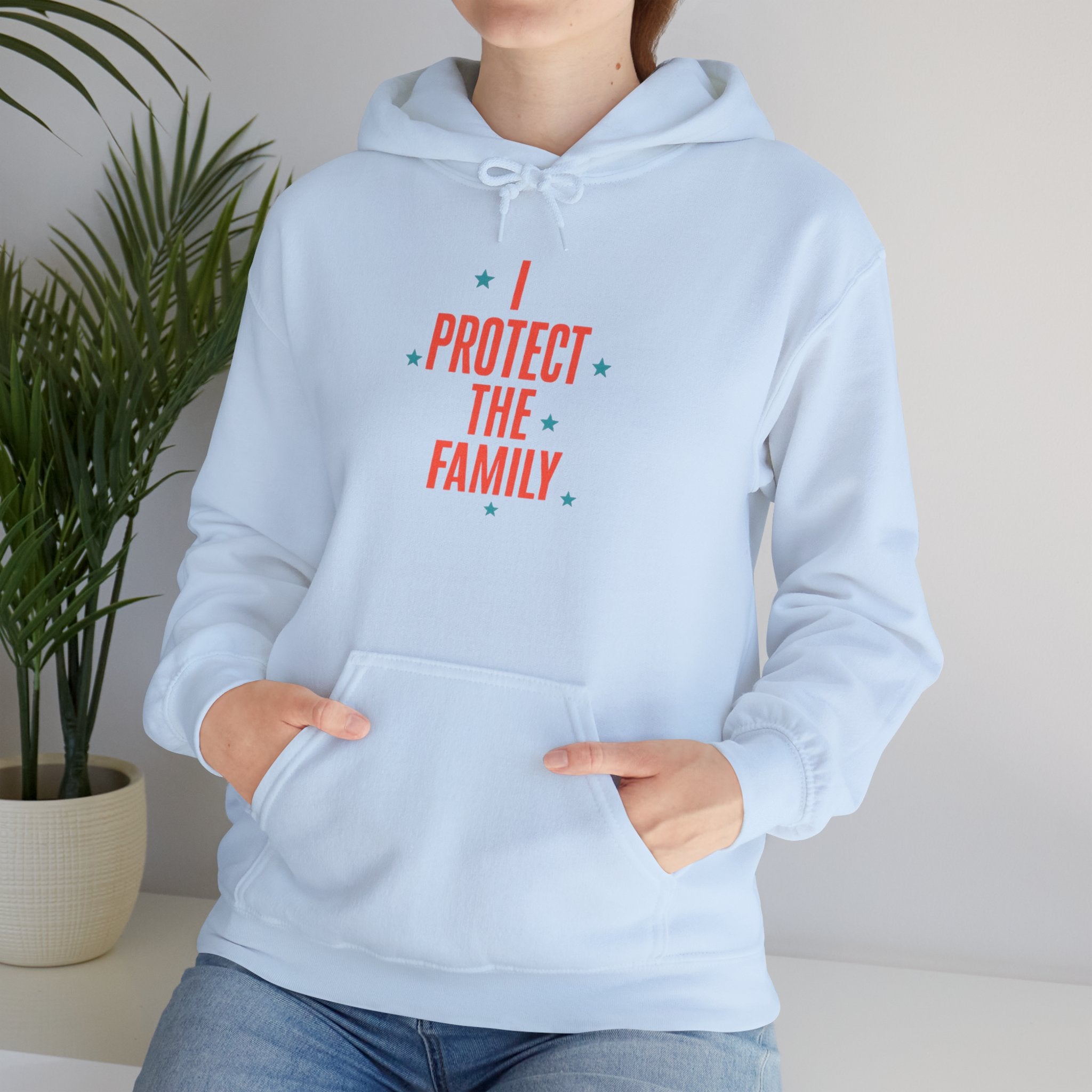 I Protect The Family Hoodie — Protective Family Statement Pullover