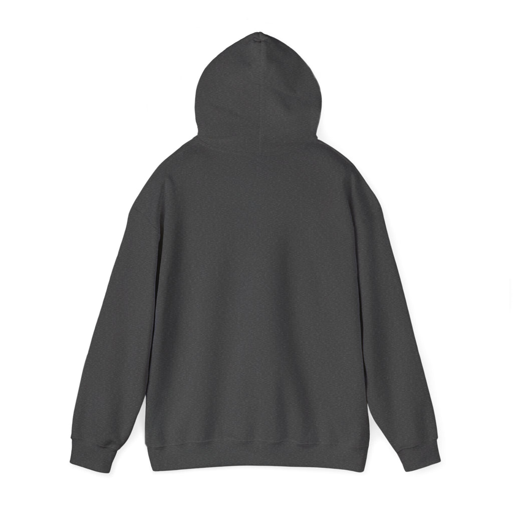 Champagne Problems Hoodie — Funny Champagne Glass Graphic Pullover