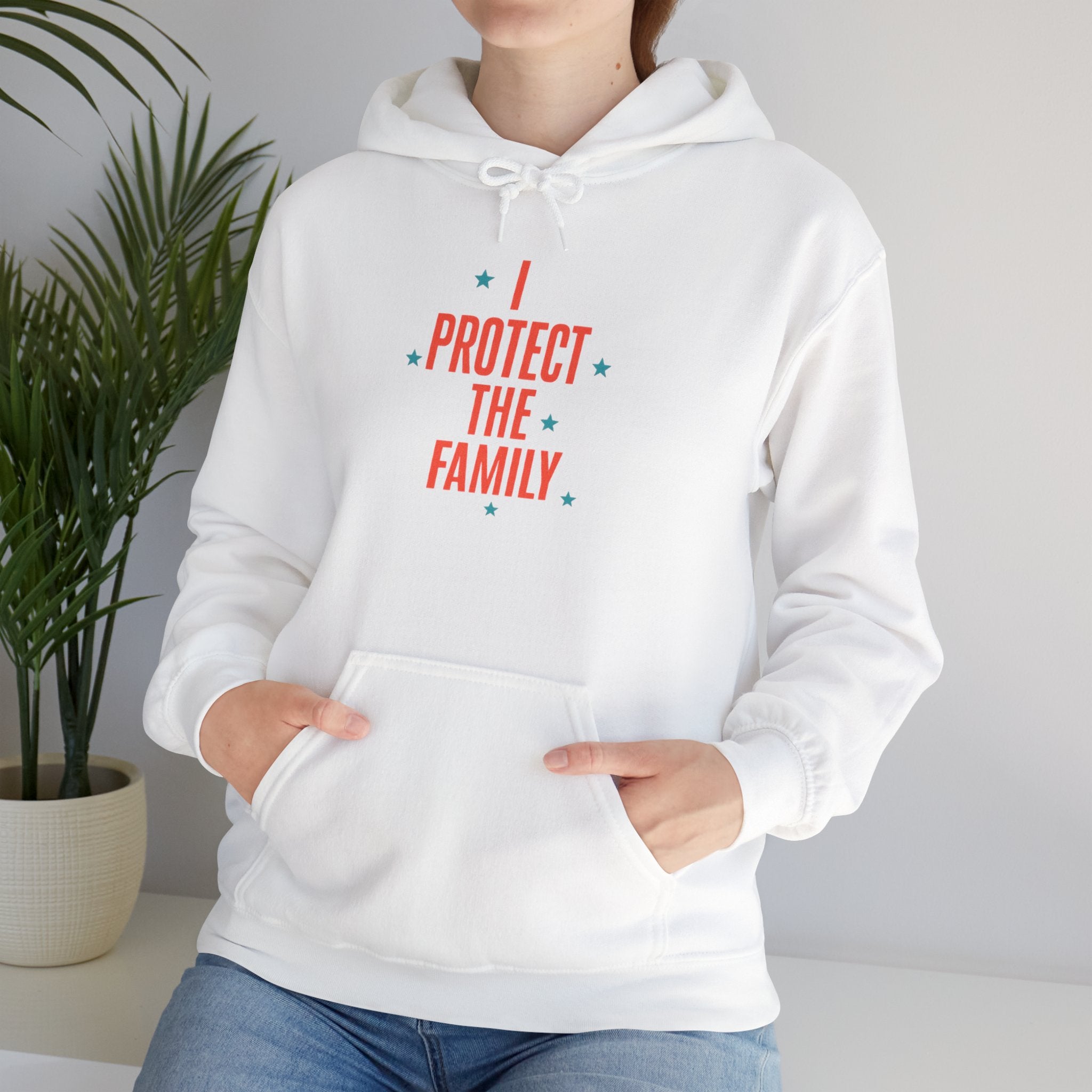 I Protect The Family Hoodie — Protective Family Statement Pullover