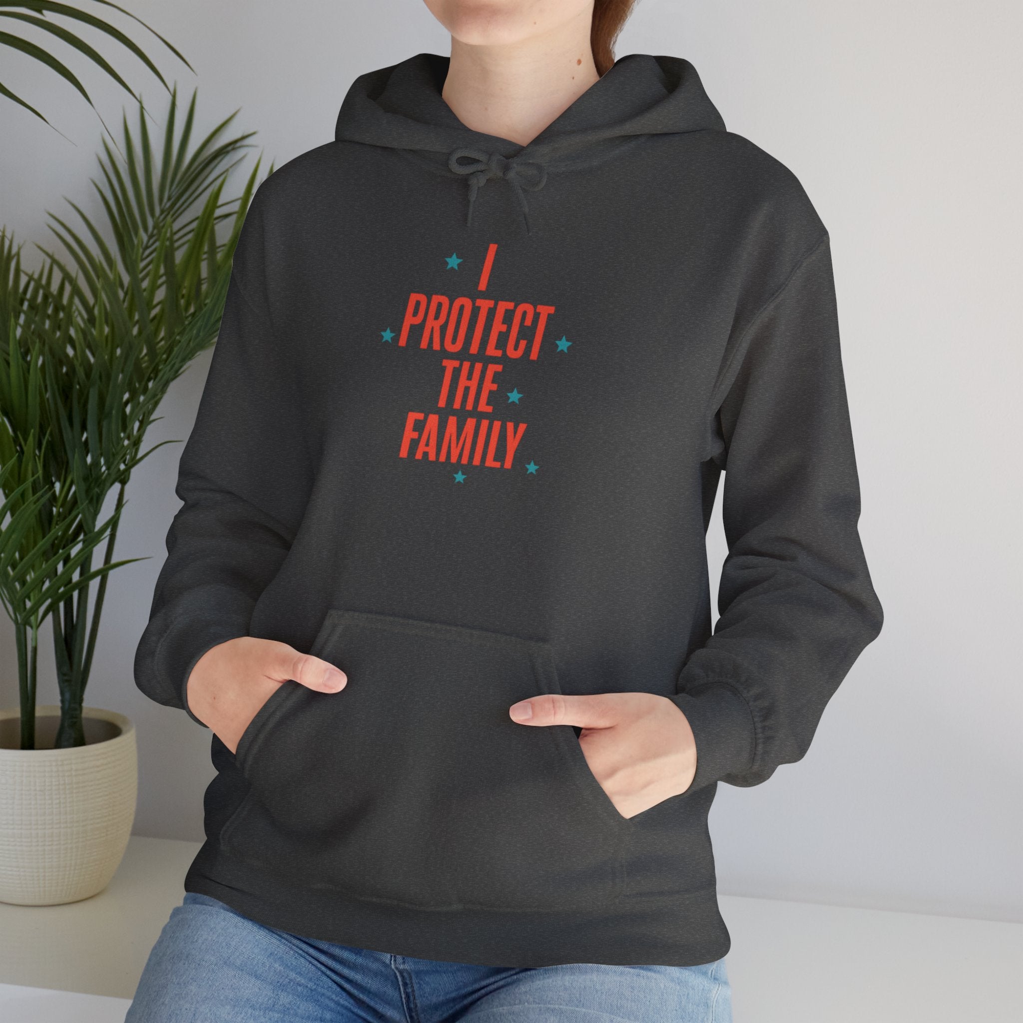 I Protect The Family Hoodie — Protective Family Statement Pullover