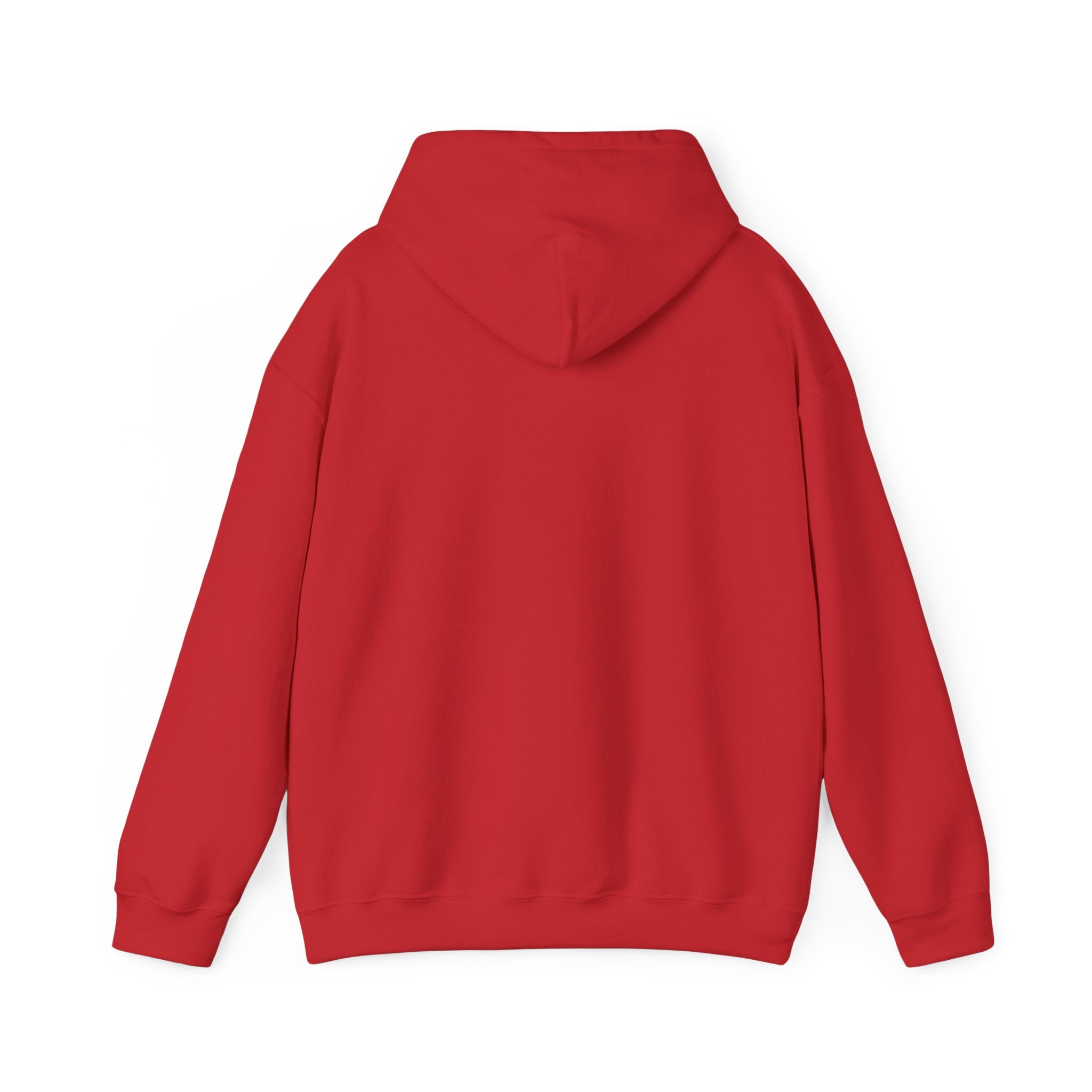 Hoodie — "In My Boy Mom Era" Feminine Boy Mom Hoodie, Mother's Day Gift