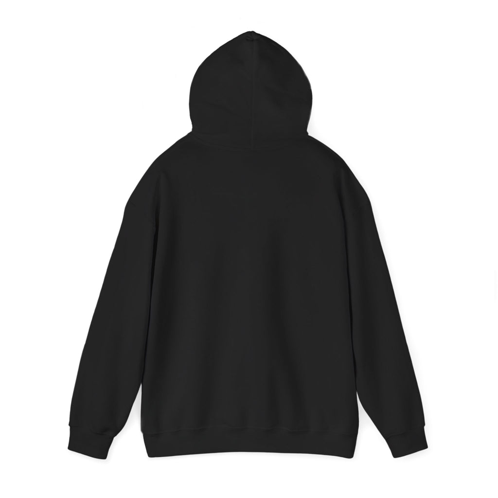I Protect The Family Hoodie — Protective Family Statement Pullover