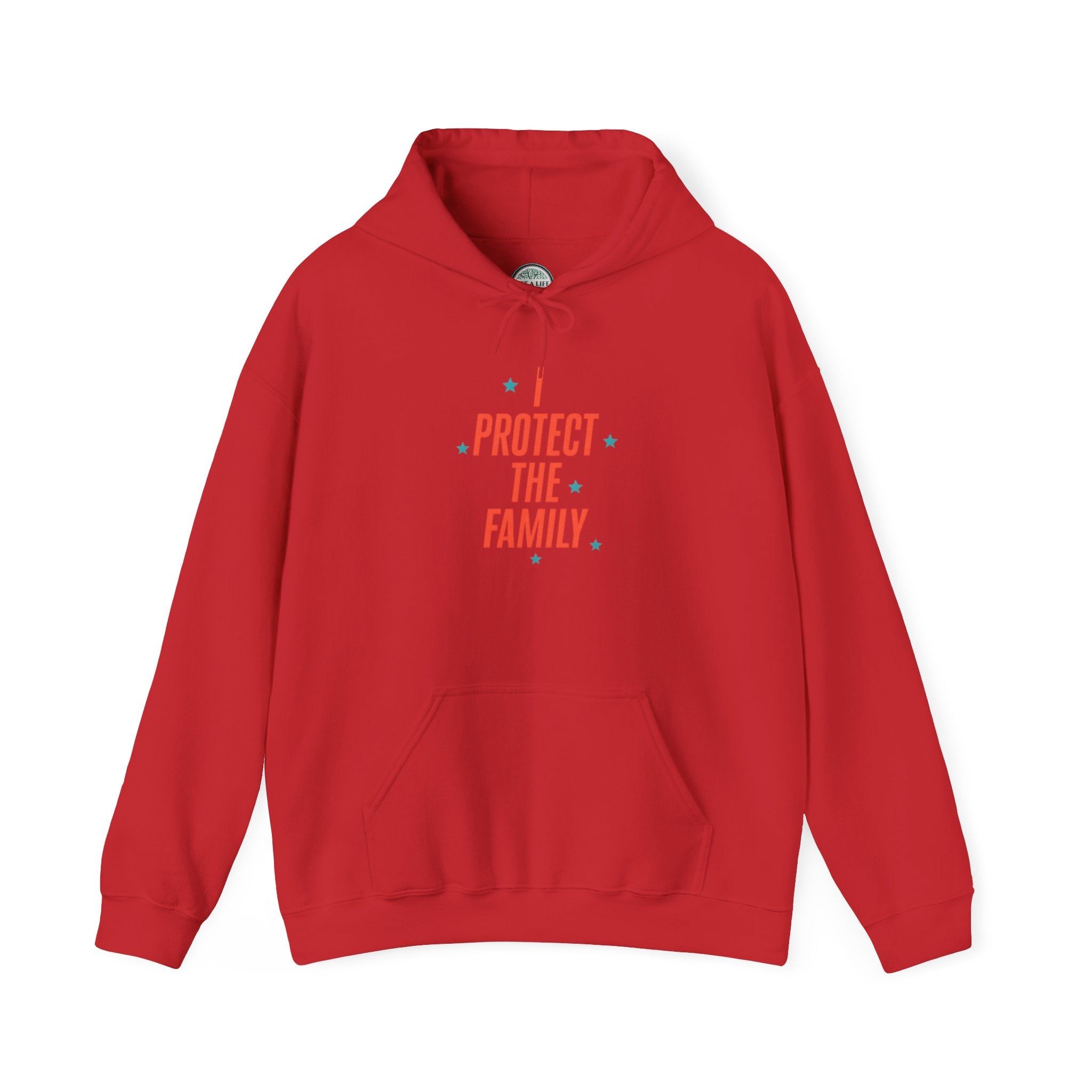 I Protect The Family Hoodie — Protective Family Statement Pullover